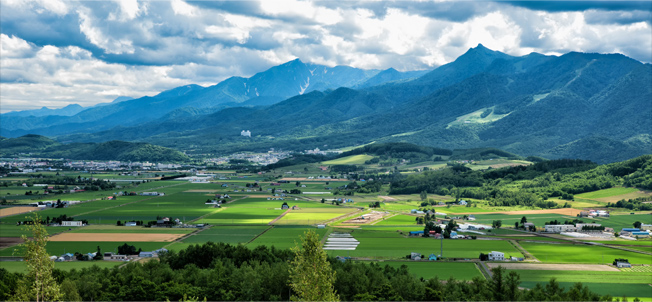 原産地　画像